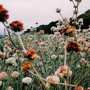 Meet your Posher, Nnicole